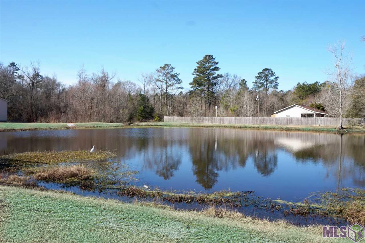 12564 Springfield Road Denham Springs, LA 70706 - Photo 21 of 22