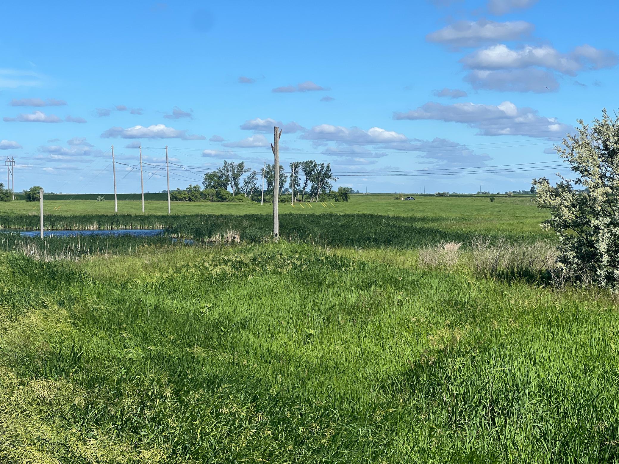 Tbd Southeast Tbd Se 90th Street Rutland, ND 58067 - Photo 57 of 105