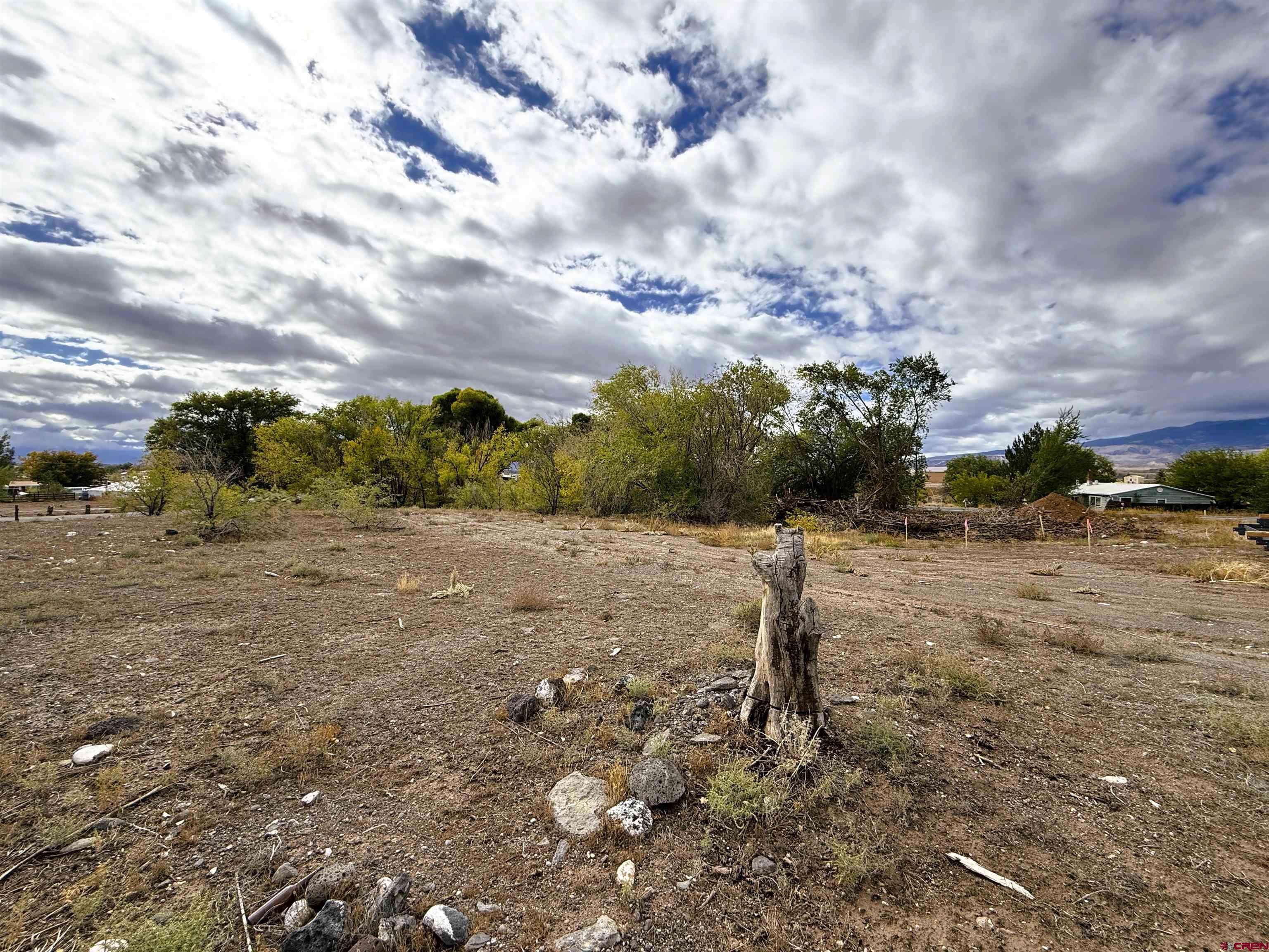 Tbd Tbd Fairview (2007 Rd) Road Austin, CO 81410 - Photo 5 of 6 a view of a yard with wooden fence