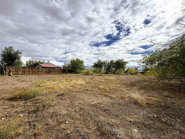 a view of a field with trees