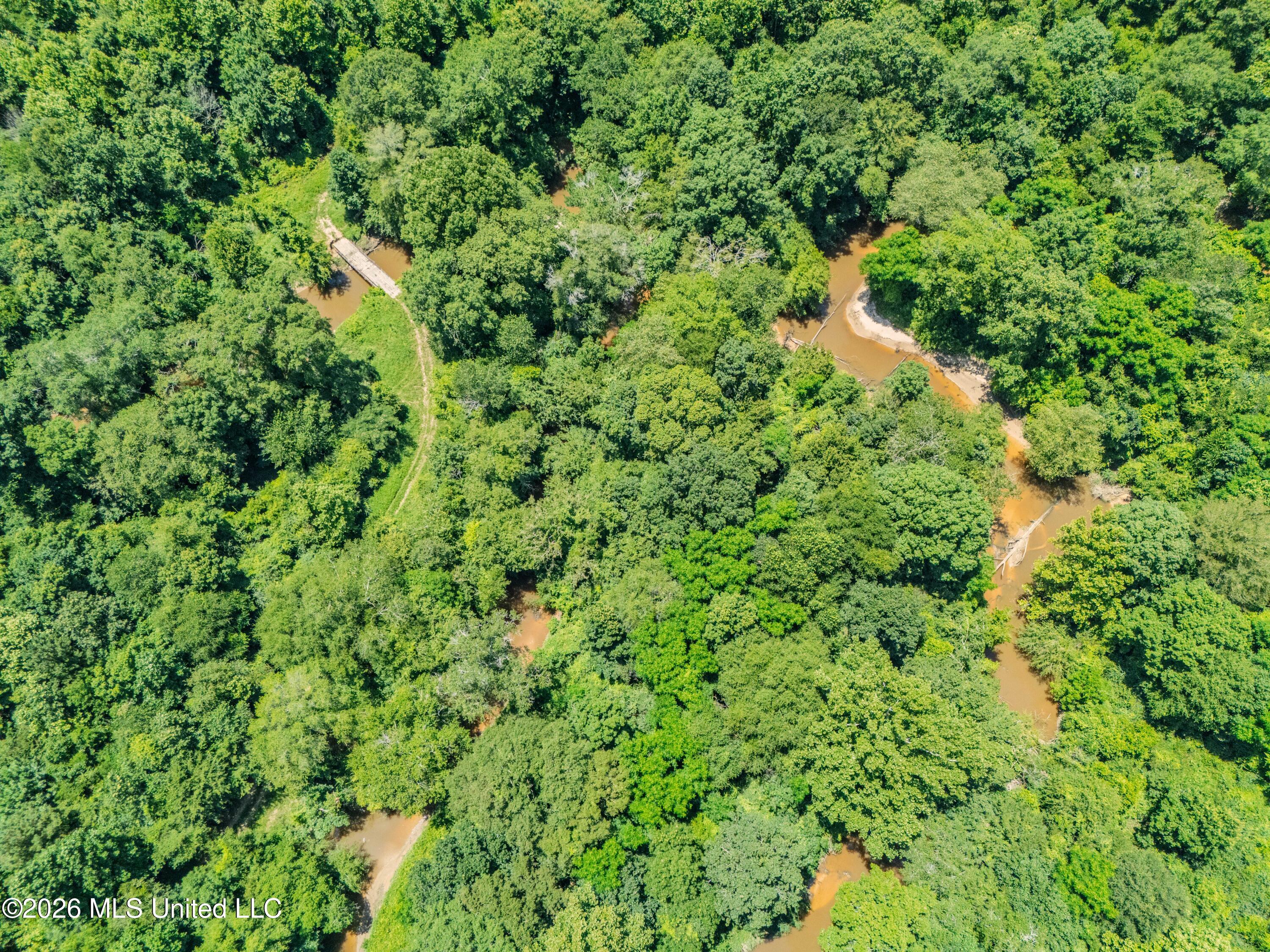 23 Co Road Bay Springs, MS 39422 - Photo 54 of 64 DJI_20260611123954_0027_D