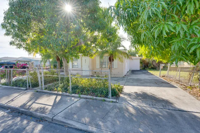 a view of a yard with plants and trees