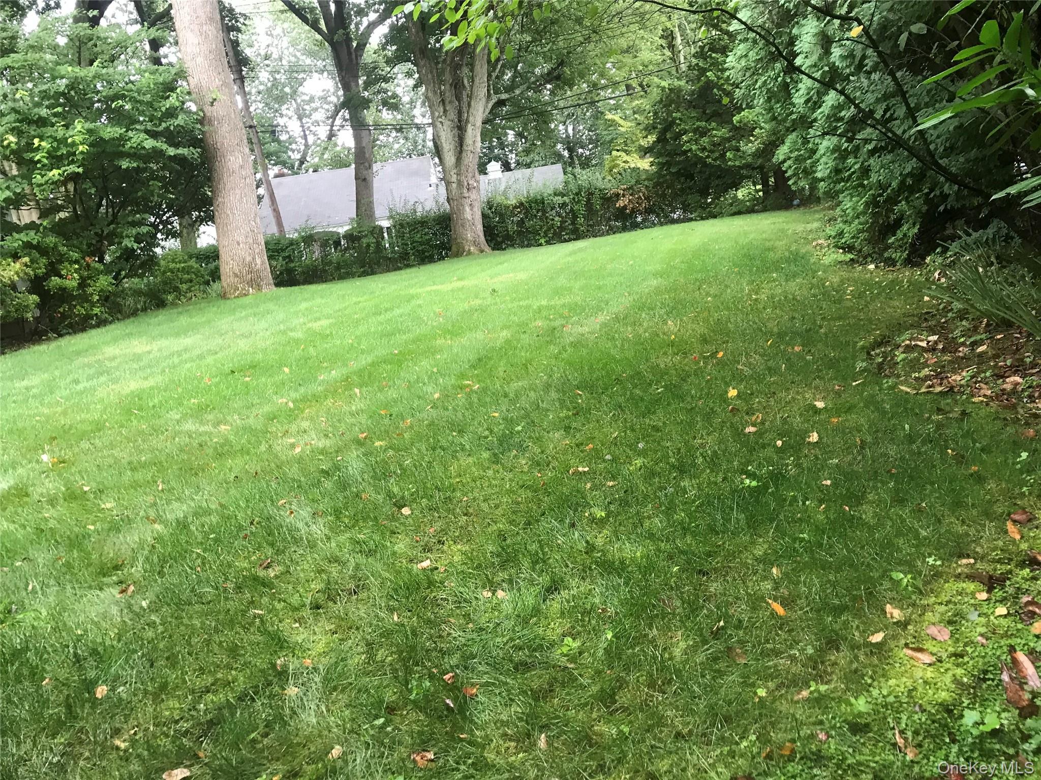 21 Westbank Road Rye, NY 10580 - Photo 26 of 32 a view of a yard with a tree