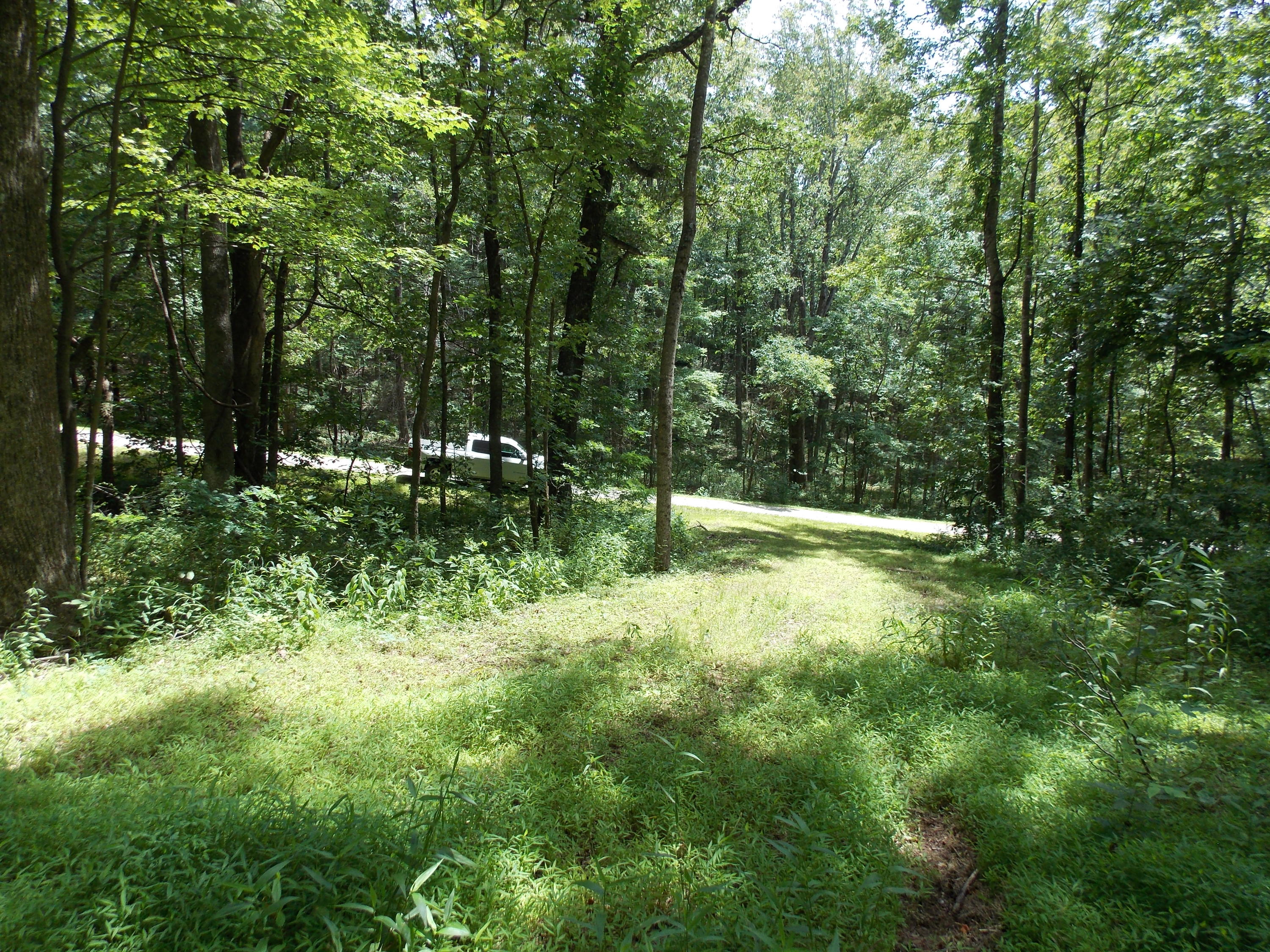 0 Chestnut Ridge Drive Southeast Callaway, VA 24067 - Photo 1 of 11 a view of backyard with green space