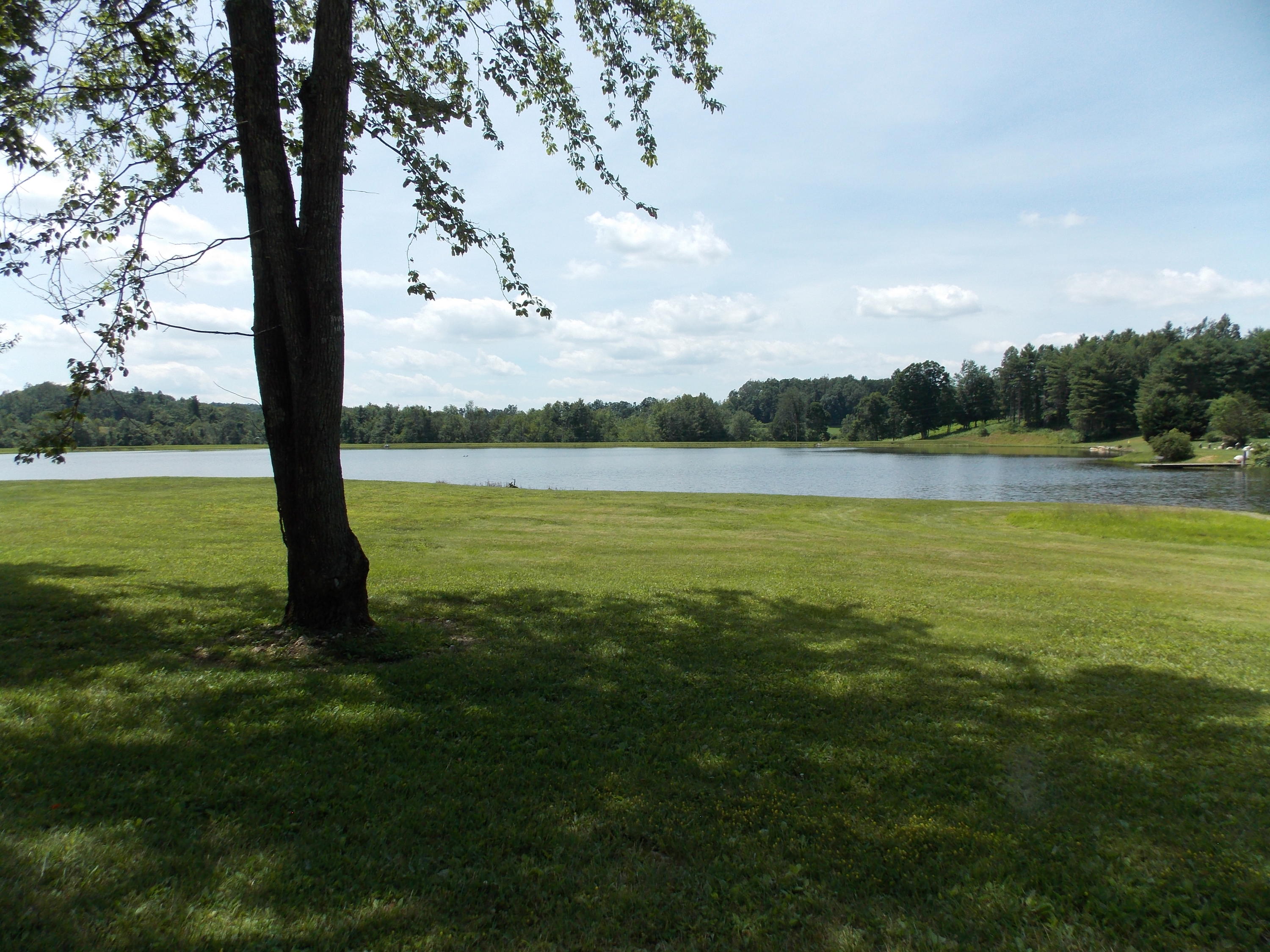 0 Chestnut Ridge Drive Southeast Callaway, VA 24067 - Photo 11 of 11 a view of an ocean from a yard