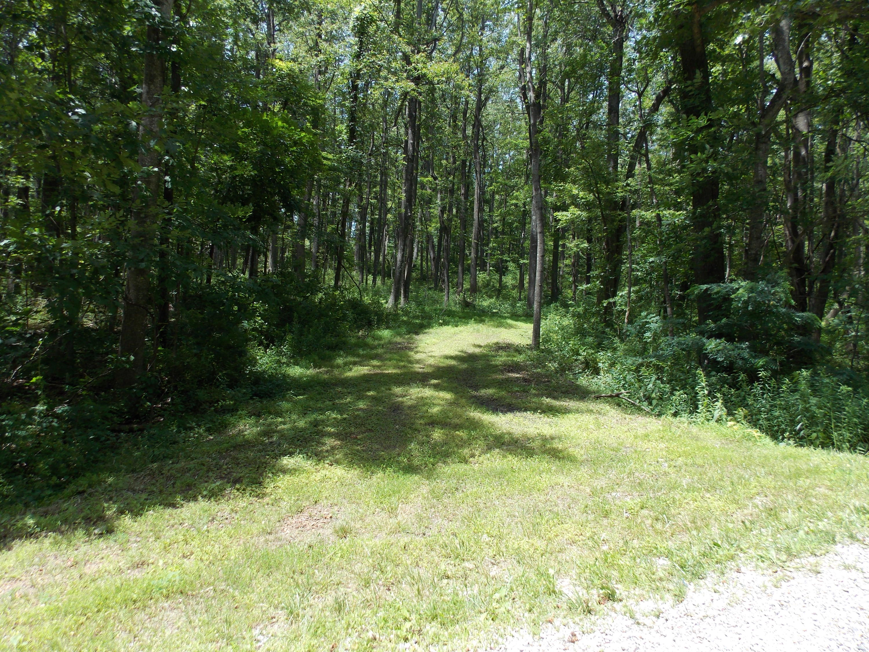 0 Chestnut Ridge Drive Southeast Callaway, VA 24067 - Photo 2 of 11 a view of outdoor space and yard