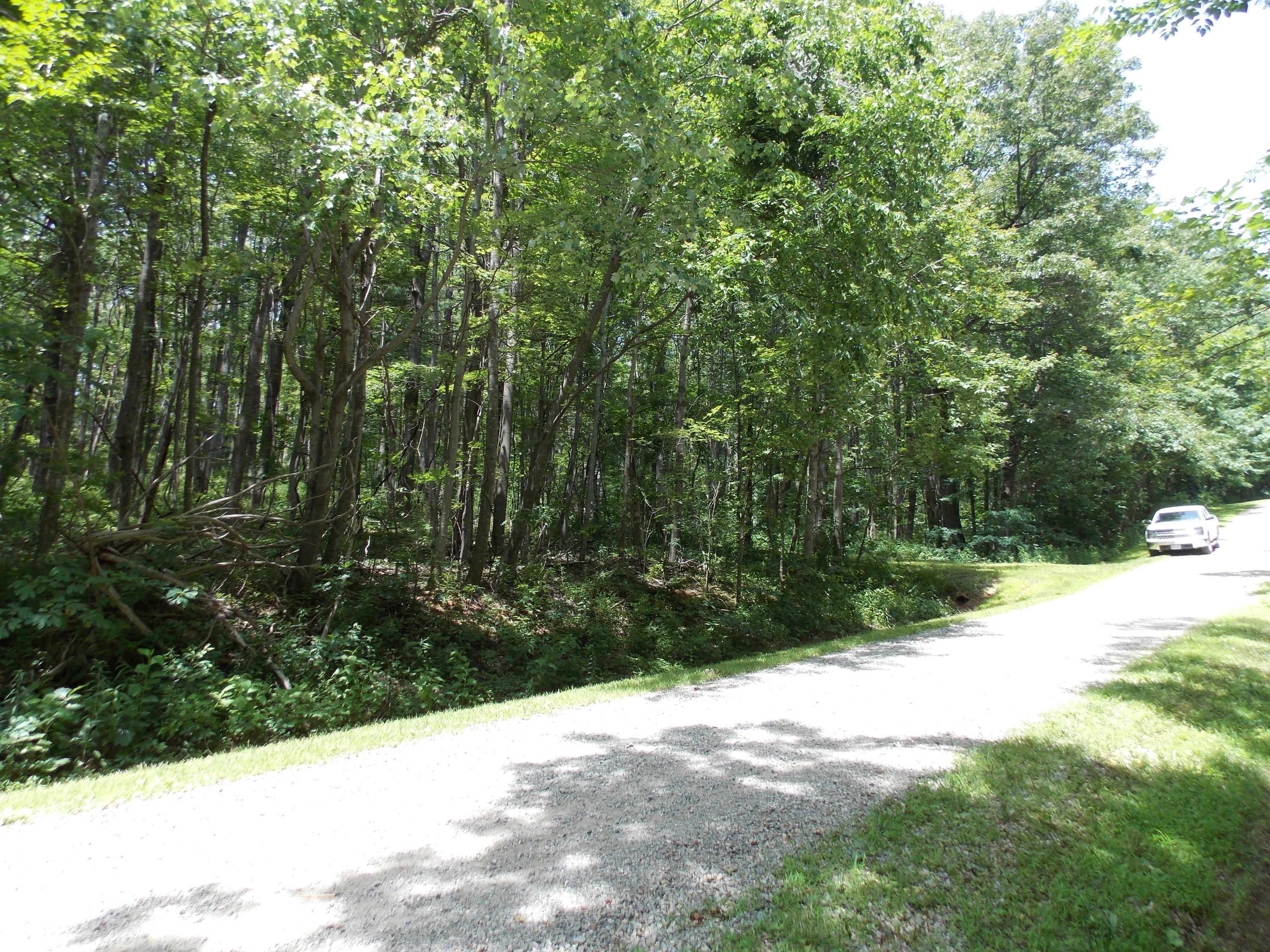 0 Chestnut Ridge Drive Southeast Callaway, VA 24067 - Photo 6 of 11 a view of a yard with plants and large trees