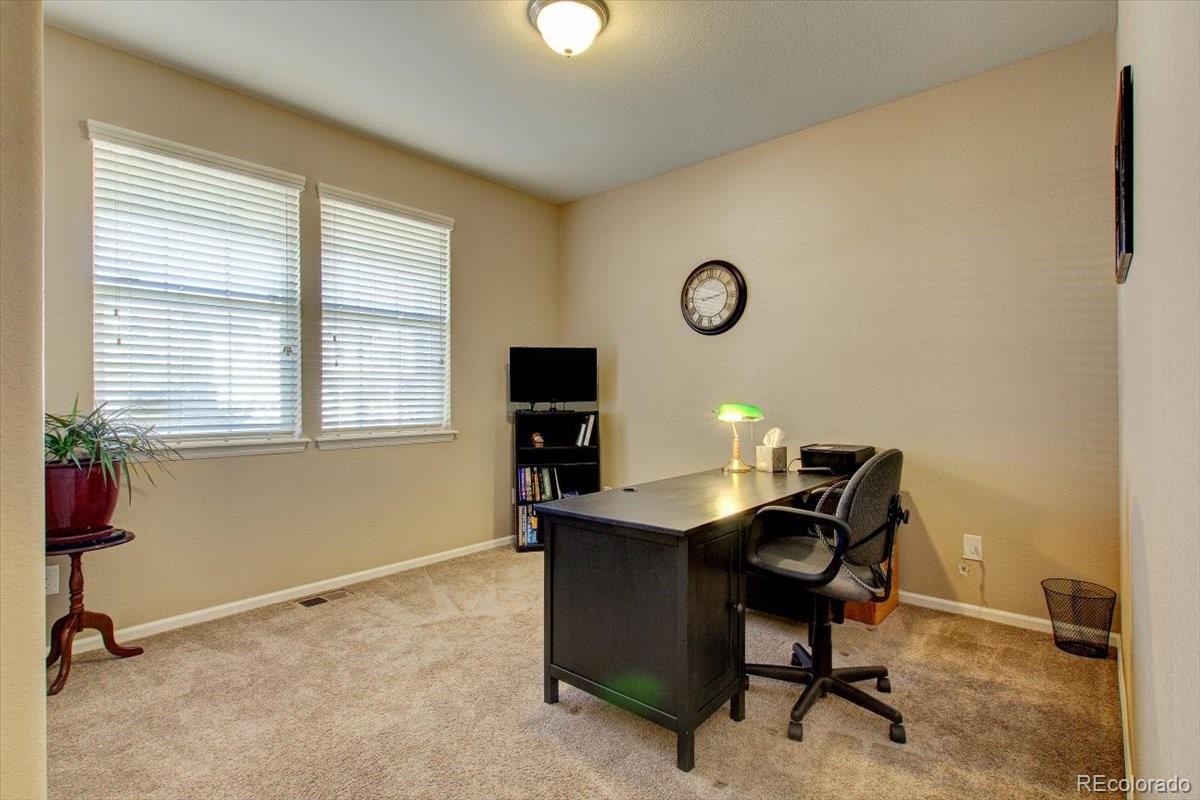 3044 Rising Moon Way Castle Rock, CO 80109 - Photo 6 of 34 Gallery Image 6