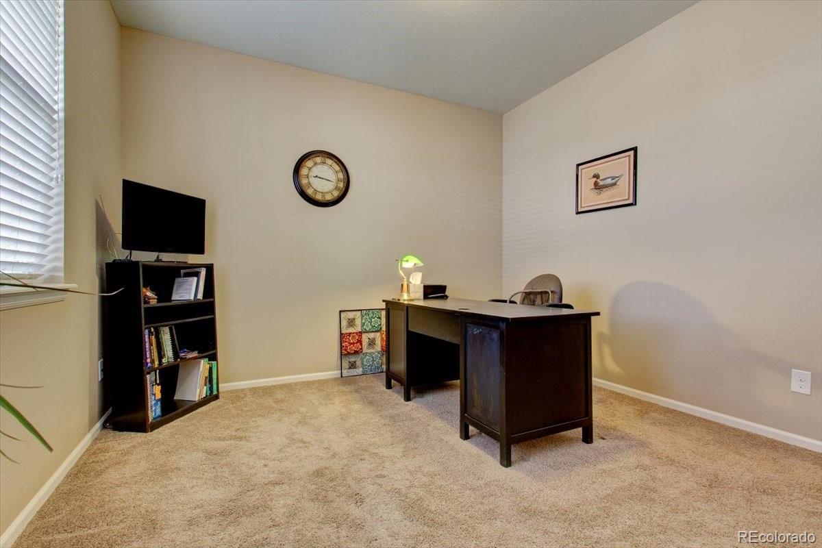 3044 Rising Moon Way Castle Rock, CO 80109 - Photo 7 of 34 Gallery Image 7