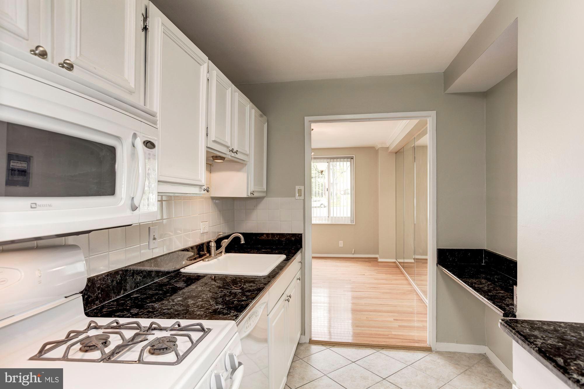1900 Lyttonsville Road, Unit 304 Silver Spring, MD 20910 - Photo 9 of 19