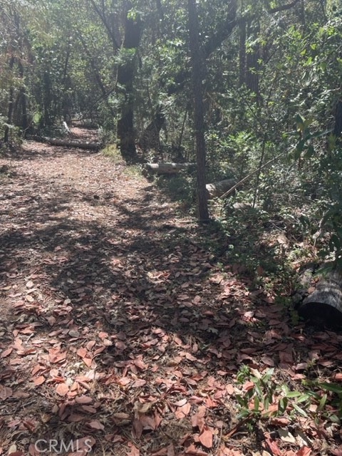 12 Broken Springs Road Oroville, CA 95966 - Photo 6 of 8 a view of a tree with a yard