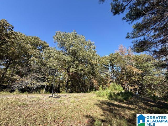 655 Buddy Vines Camp Road, Unit 1 Bessemer, AL 35023 - Photo 6 of 9
