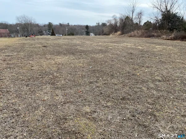 a view of a field with trees in background