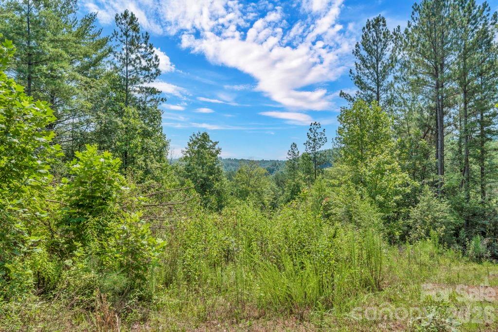 1568 Watermill Road Morganton, NC 28655 - Photo 14 of 48 Gallery Image 14