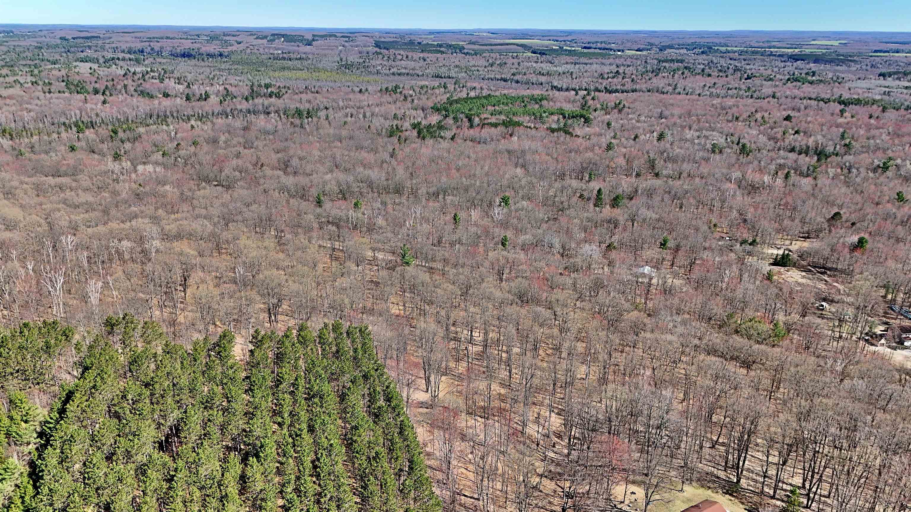 Vl 00 Cherry Hill Road Fife Lake, MI 49633 - Photo 16 of 21