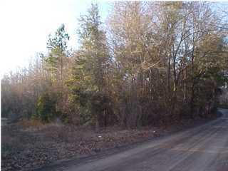 0 Dogpatch Lane Johns Island, SC 29455 - Photo 1 of 1 20140903163045020989000000-o