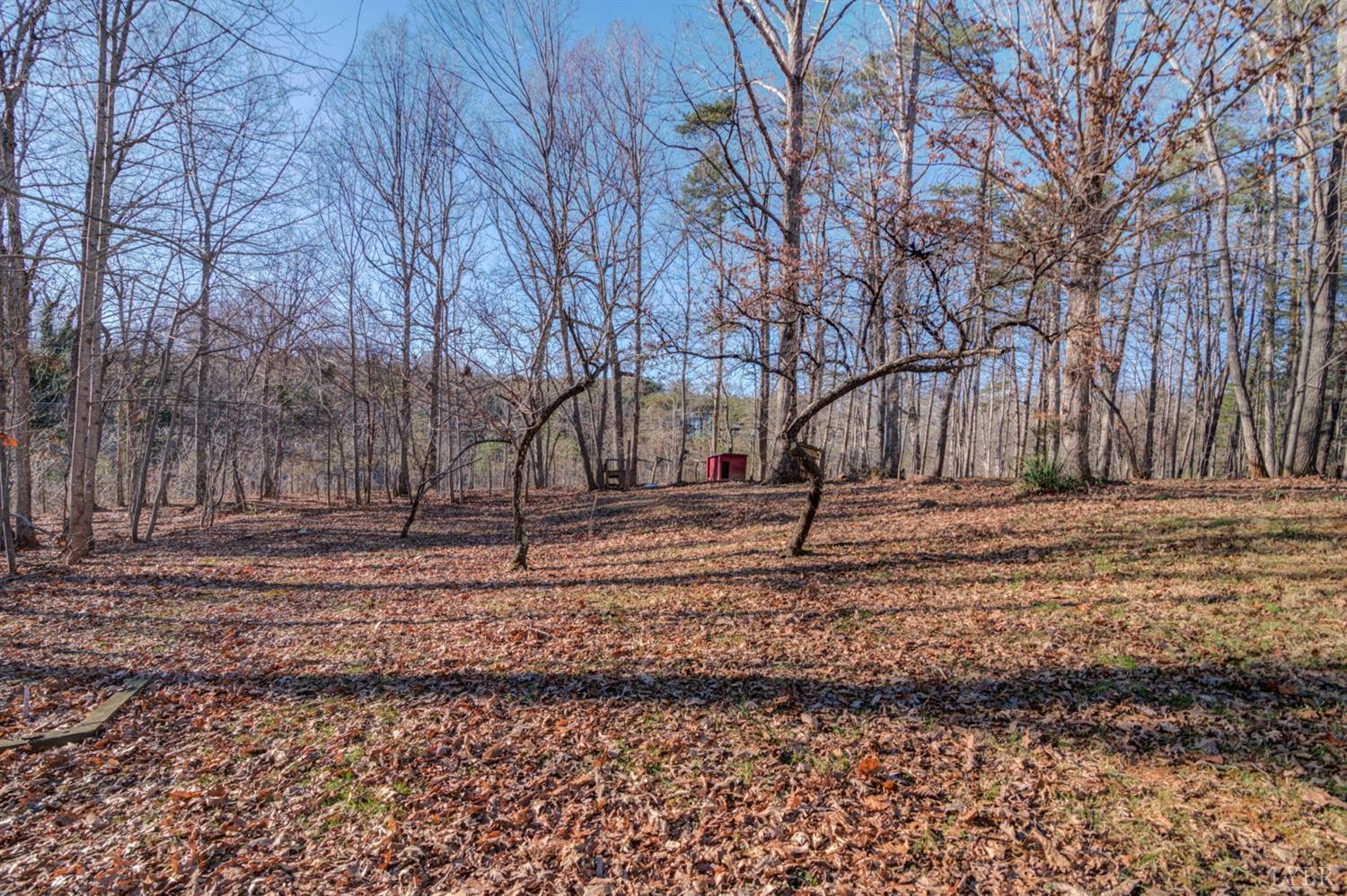 309 Mansion Bridge Road Altavista, VA 24517 - Photo 27 of 35 Gallery Image 27