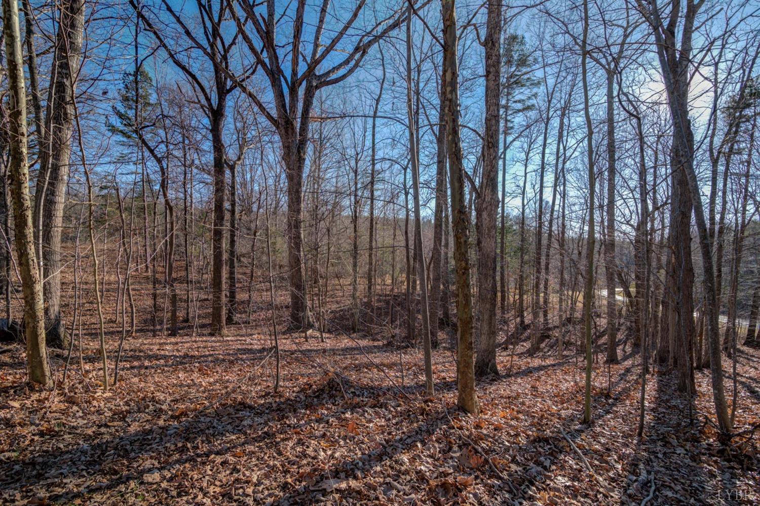 309 Mansion Bridge Road Altavista, VA 24517 - Photo 28 of 35 Gallery Image 28