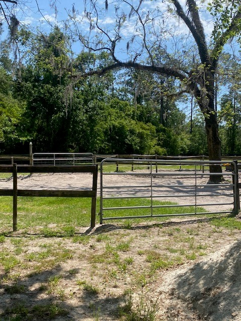 2749 Parmenter Road Bryceville, FL 32009 - Photo 3 of 10 a view of a yard