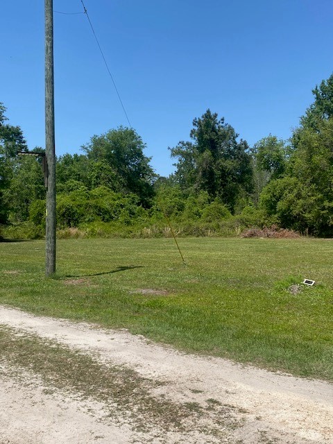 2749 Parmenter Road Bryceville, FL 32009 - Photo 5 of 10 a view of a field with grass