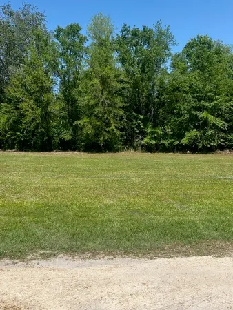 a view of a garden with a tv