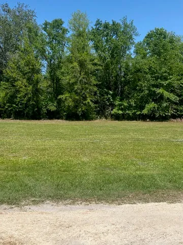a view of a garden with a tv