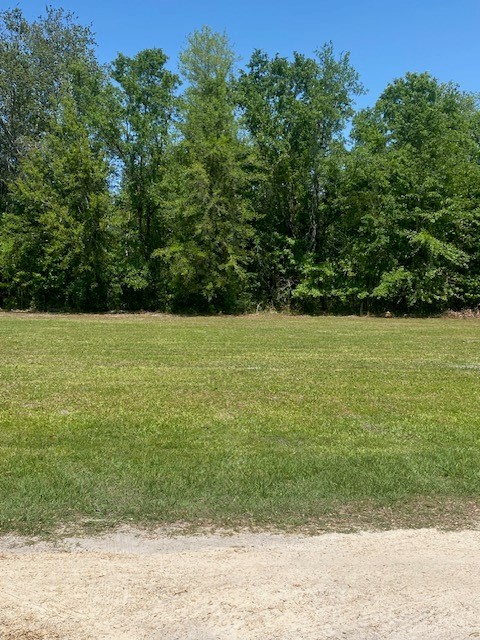 2749 Parmenter Road Bryceville, FL 32009 - Photo 6 of 10 a view of a garden with a tv