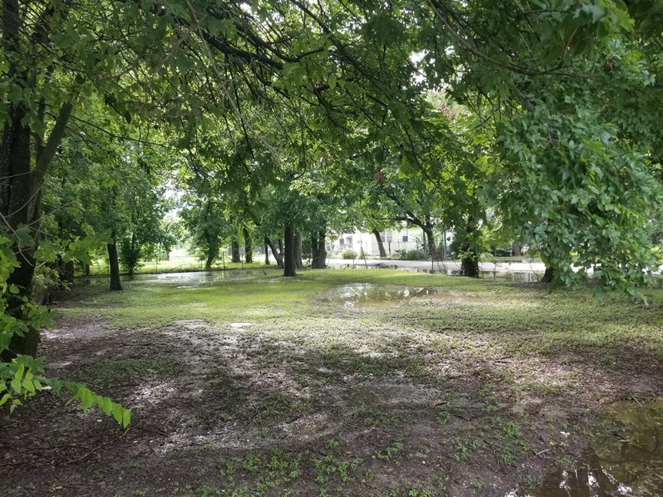 2523 Sakowitz Street Houston, TX 77020 - Photo 2 of 12 a view of grassy field with trees