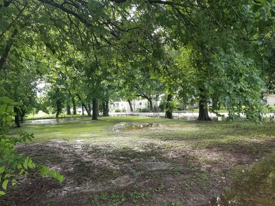 2523 Sakowitz Street Houston, TX 77020 - Photo 5 of 12 a view of a park that has large trees