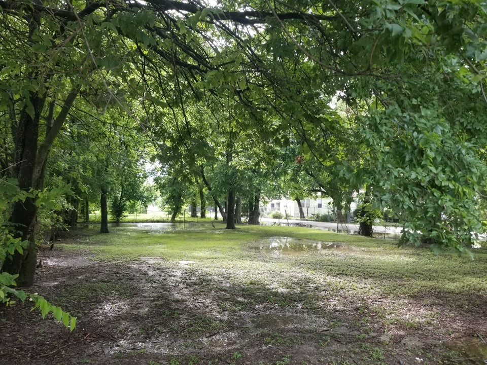 2523 Sakowitz Street Houston, TX 77020 - Photo 7 of 12 a big yard with lots of green space and trees in the back