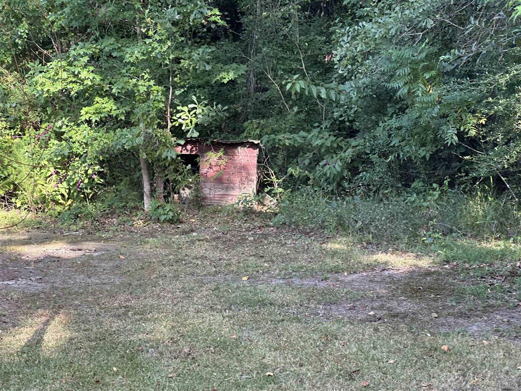 4731 Phillip Corry Road Starks, LA 70661 - Photo 20 of 23 Gallery Image 20