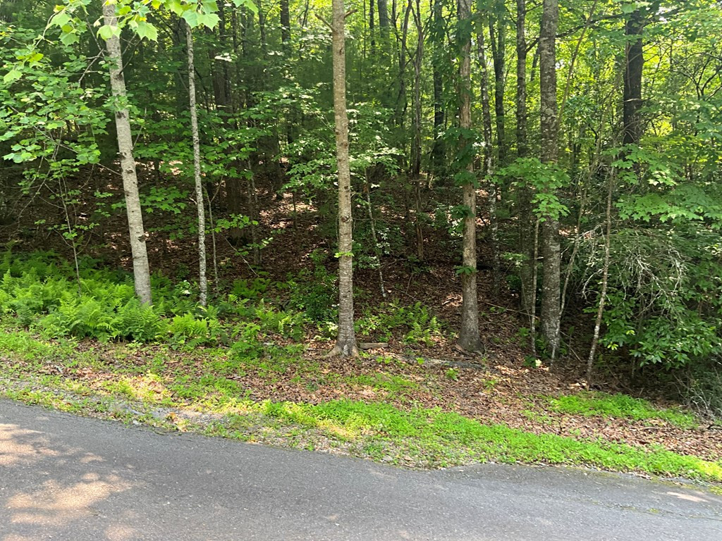 5 Birds View Lane Murphy, NC 28906 - Photo 3 of 17
