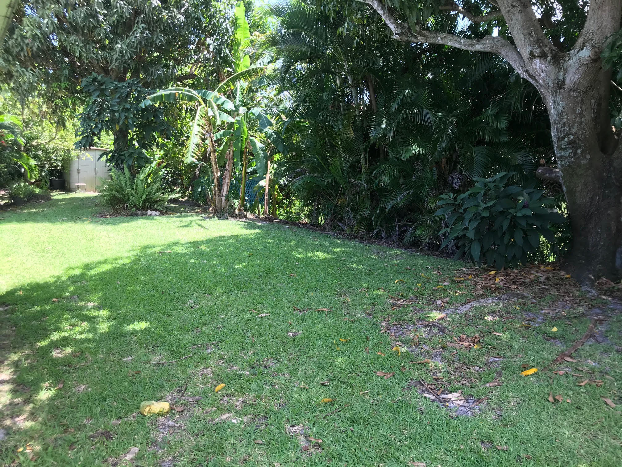 5244 Minto Road Boynton Beach, FL 33472 - Photo 6 of 16 Fences permitted