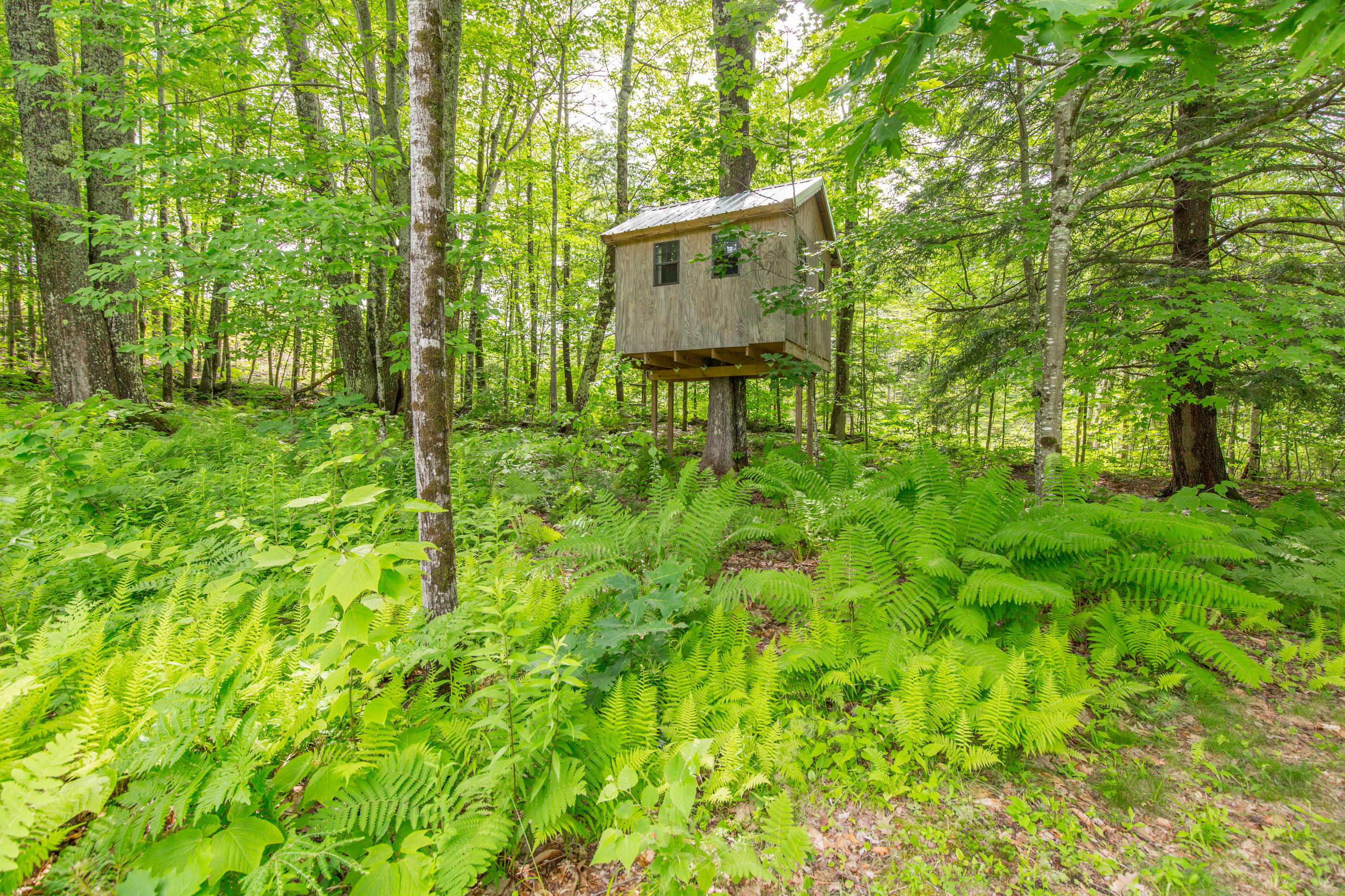 741 Hopper Road Acton, ME 04001 - Photo 32 of 42 741 Hopper Acton-35
