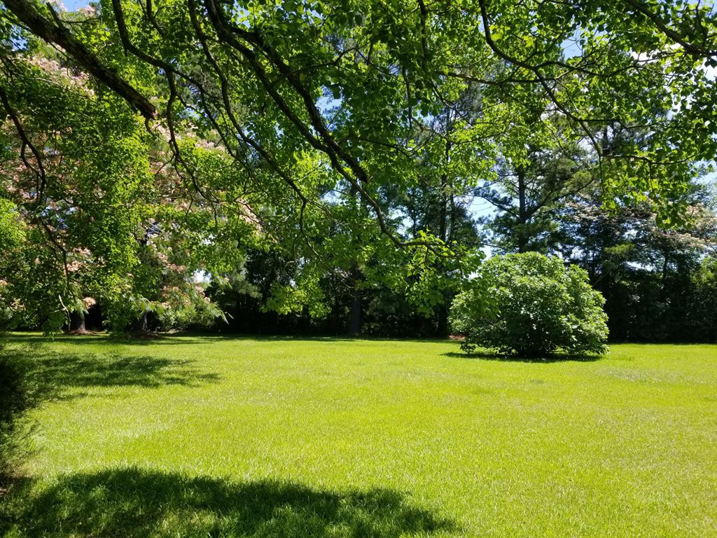 2023 Camden Road Holly Hill, SC 29059 - Photo 24 of 27 Gallery Image 24