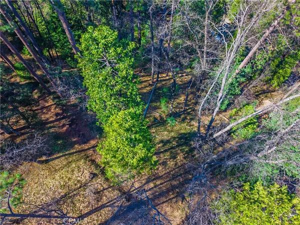 $30,000 | 284 Canyon View Drive, Murphys, CA 95247