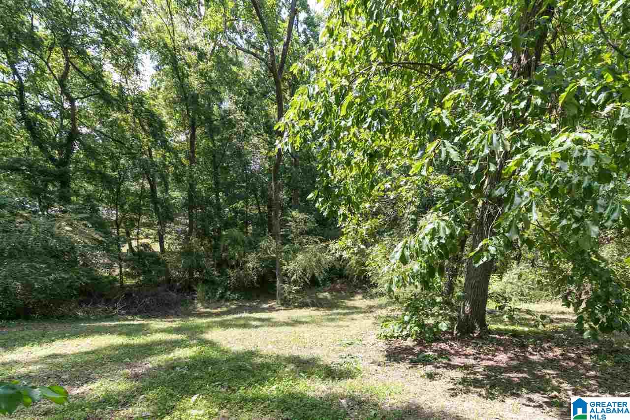 2424 4th Street Northwest Center Point, AL 35215 - Photo 15 of 36