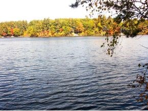 65 Millwood Road Wolfeboro, NH 03894 - Photo 5 of 12 Gallery Image 5