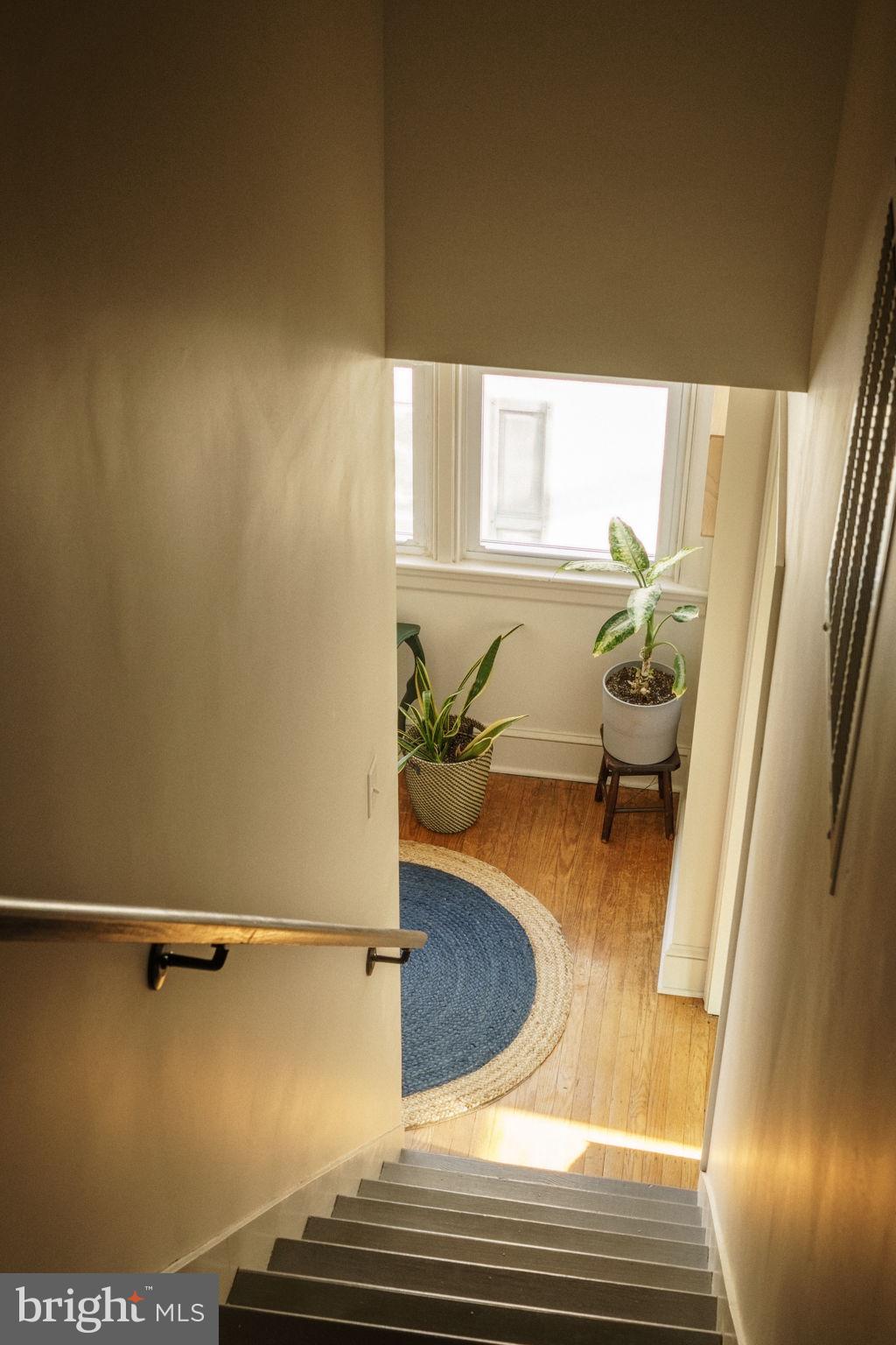 8139 Shawnee Street Philadelphia, PA 19118 - Photo 28 of 41