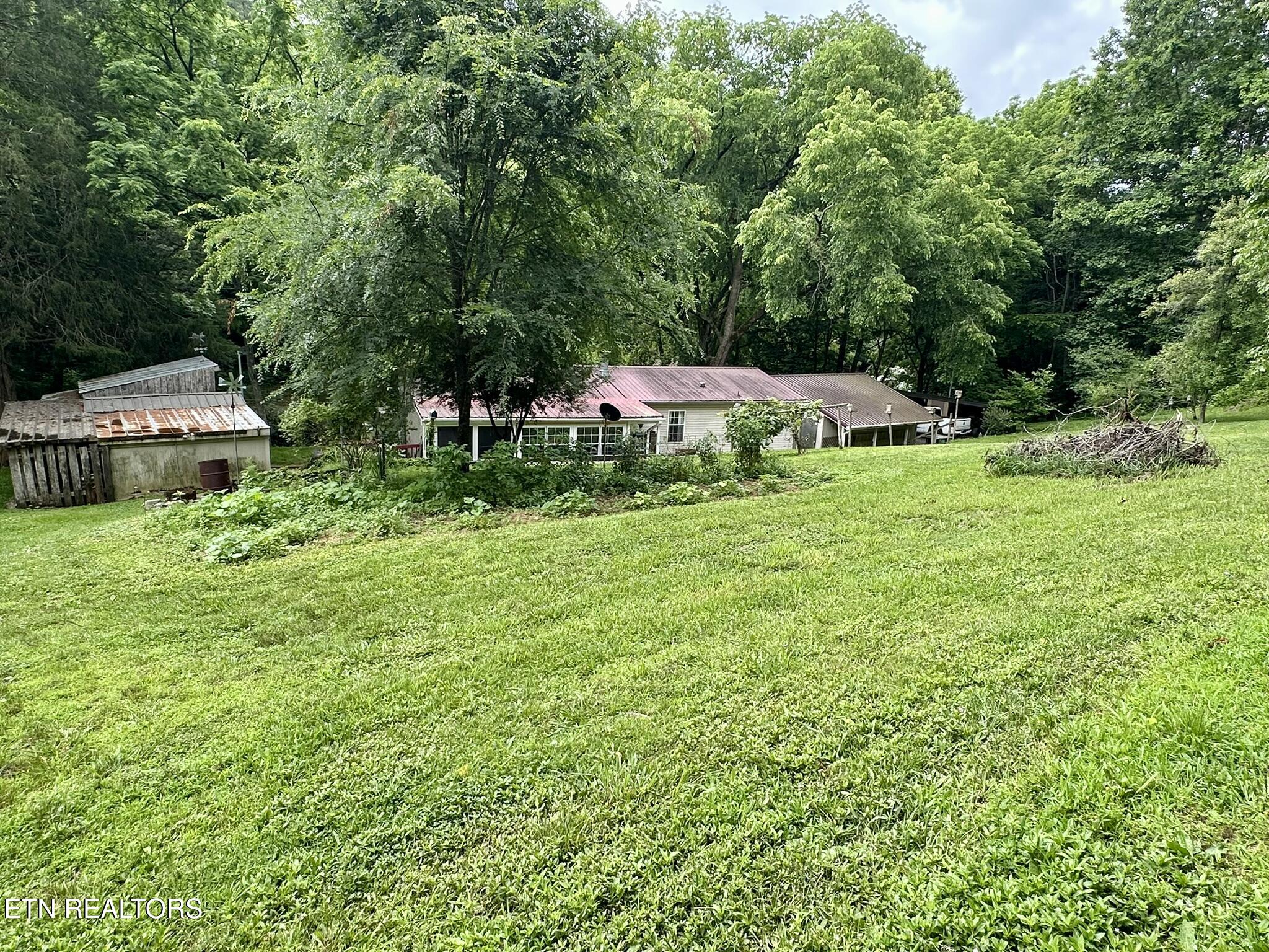 111 Old Springs Road Maynardville, TN 37807 - Photo 5 of 33 6 ACRES!