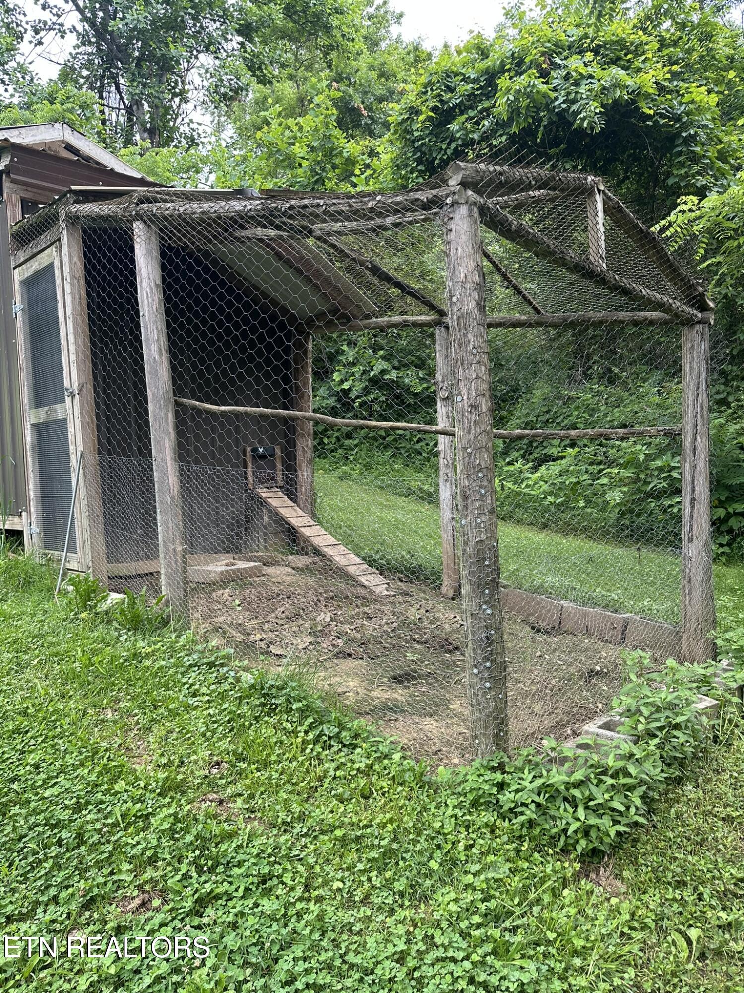 111 Old Springs Road Maynardville, TN 37807 - Photo 8 of 33 125 yr old chicken coop