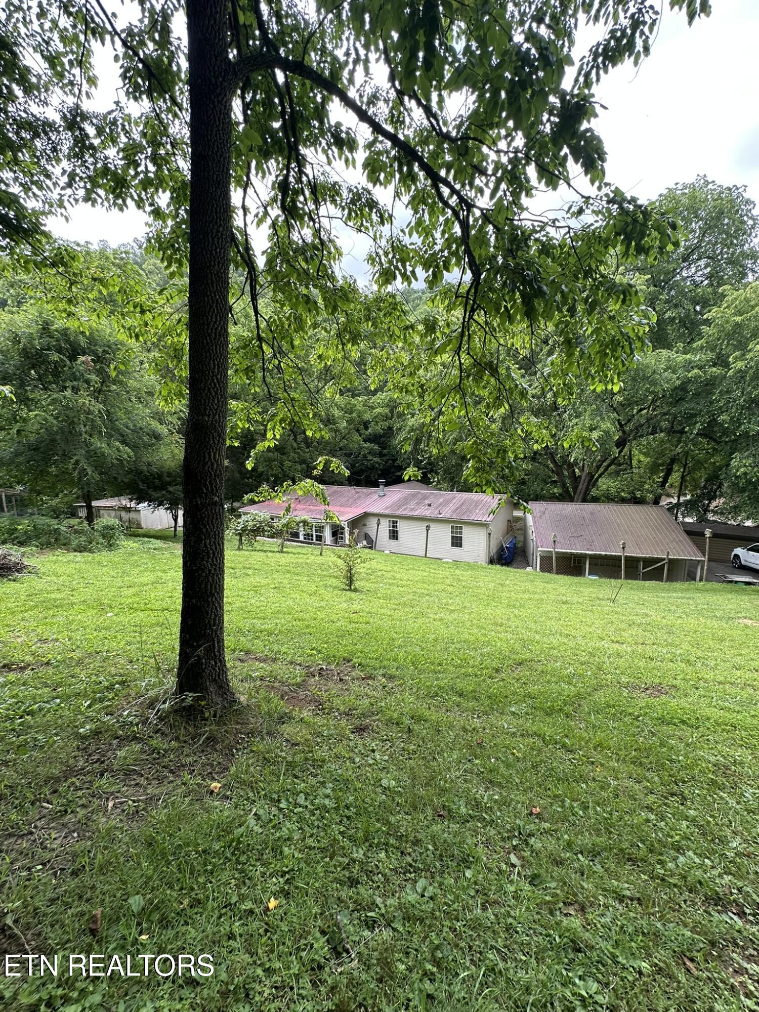 111 Old Springs Road Maynardville, TN 37807 - Photo 10 of 33 IMG_7341