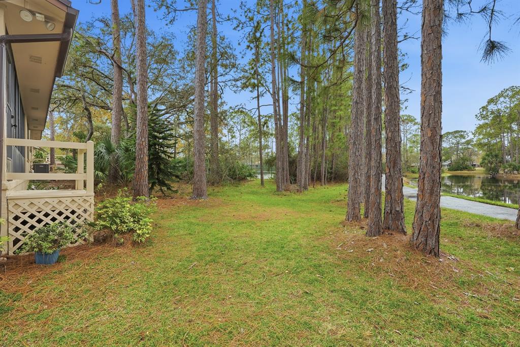 41 Crooked Pine Road Port Orange, FL 32128 - Photo 29 of 40 a backyard of a house with lots of green space
