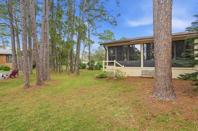 a view of a backyard with potted plants and large tree