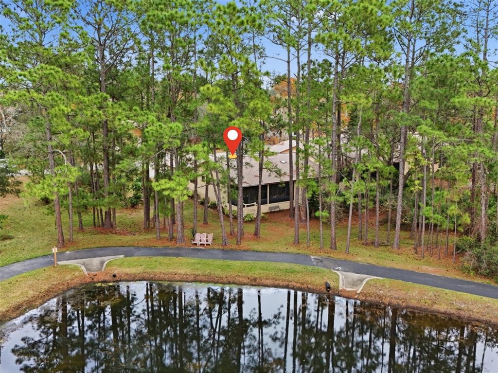 41 Crooked Pine Road Port Orange, FL 32128 - Photo 38 of 40 a view of a park with a large tree