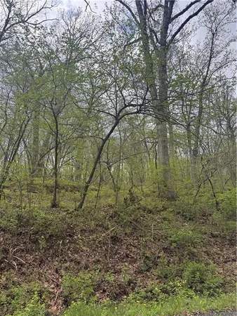 $16,750 | Lot 47-49 Park Lane, Oak Grove, MO 64075