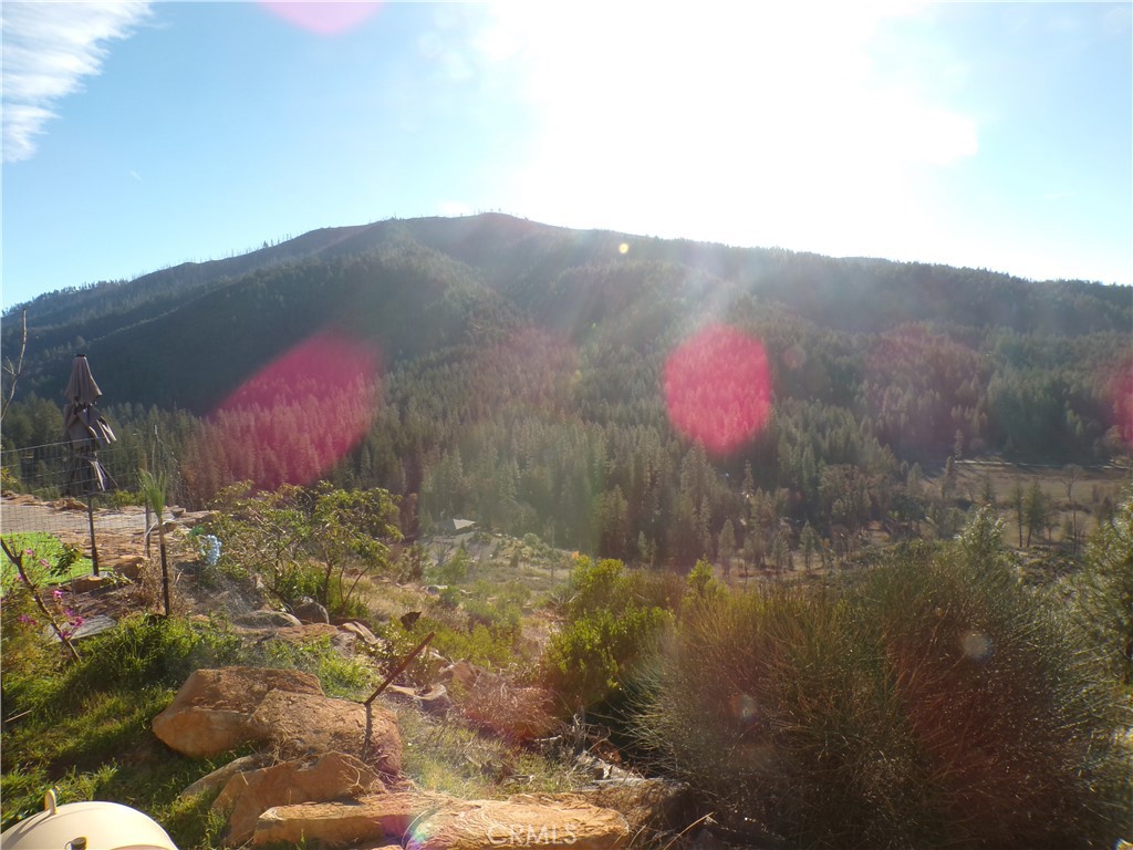 15305 Trinity Road Cobb, CA 95426 - Photo 5 of 12 a view of a lot of trees and mountains