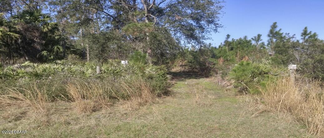 0 Us 1 North Bunnell, FL 32110 - Photo 4 of 5 a view of a yard