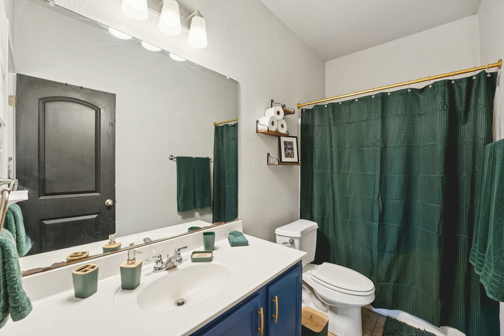 1048 Sanders Kyle, TX 78640 - Photo 9 of 18 a bathroom with a sink vanity mirror and toilet