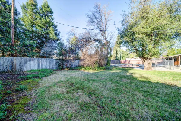 a view of yard with tree